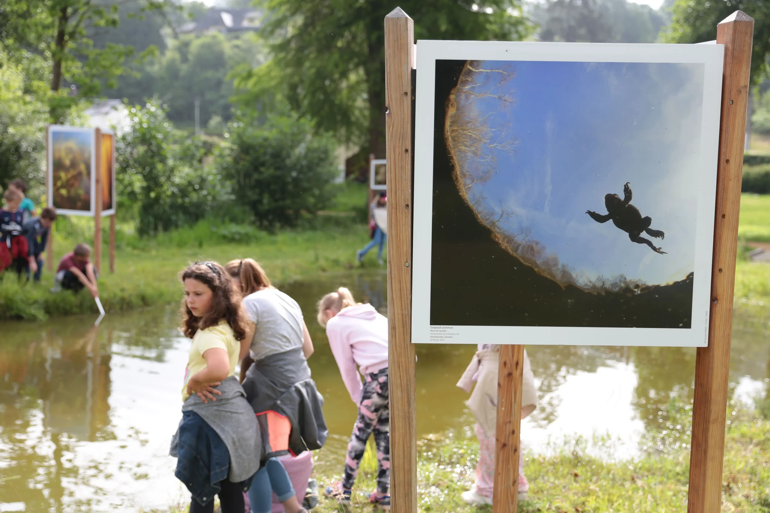 Expositions photos sCENes de nature - CEN Normandie