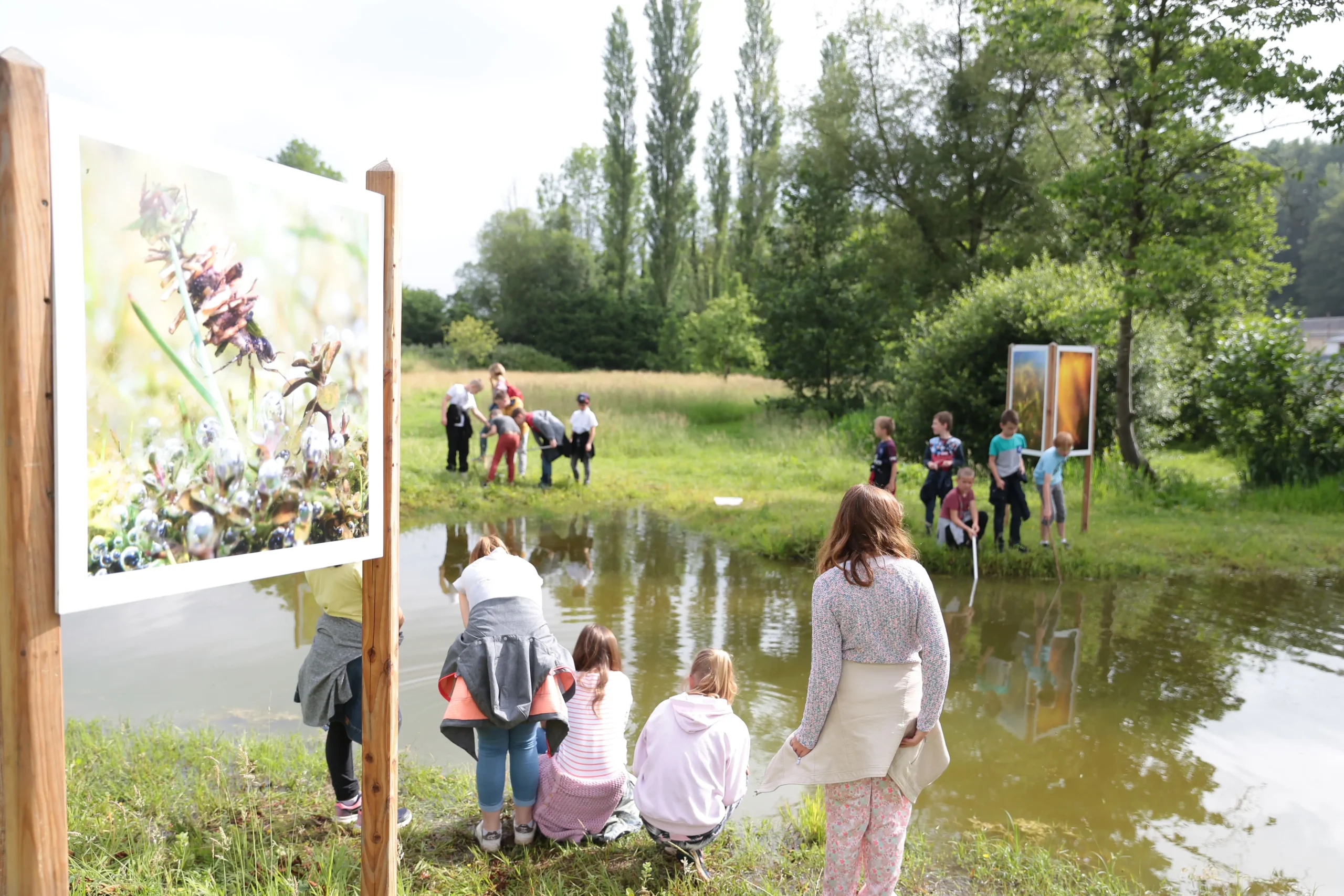 Expositions photos sCENes de nature - CEN Normandie