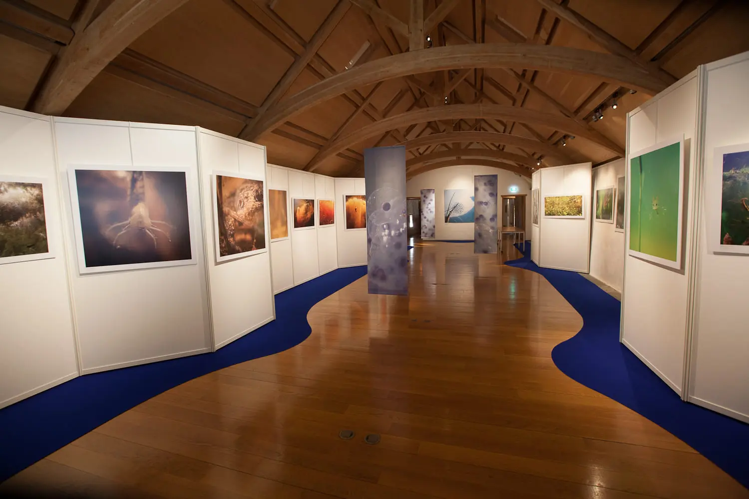 Expositions photos sCENes de nature - CEN Normandie