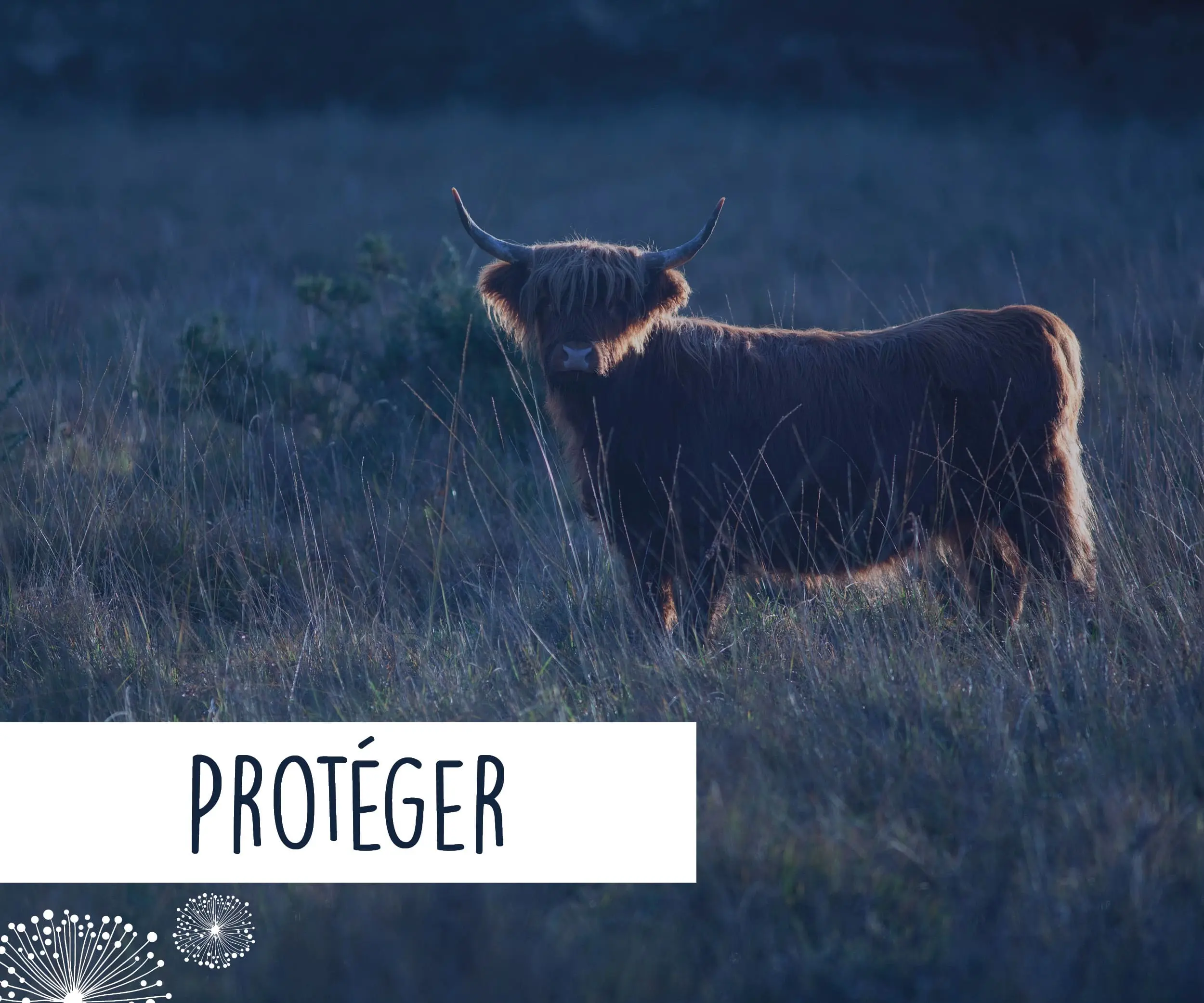 Protéger © CEN Normandie