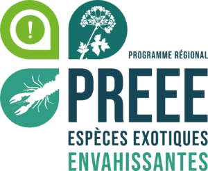 Logo PREEE
