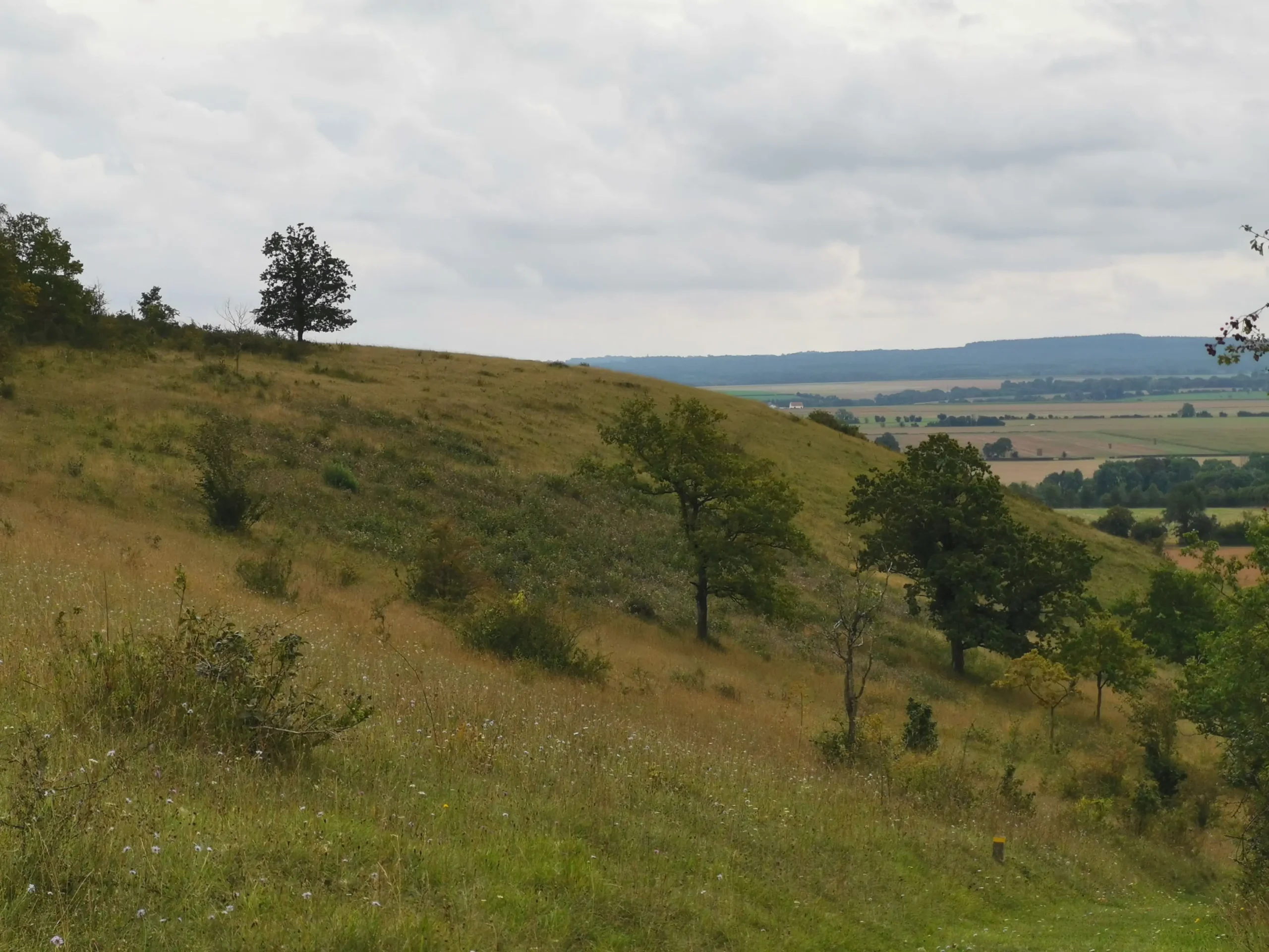 Paysage coteau © CEN Normandie