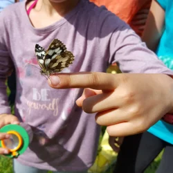 Dem Deuil Chasse aux insectes © CEN Normandie Dem Deuil Chasse aux insectes © CEN Normandie